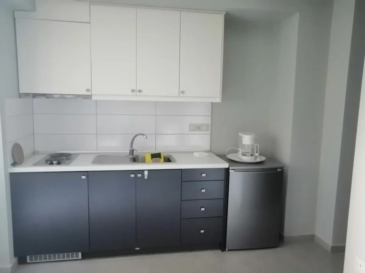 Апартаменты Eleni'S House 3 Metagkitsi